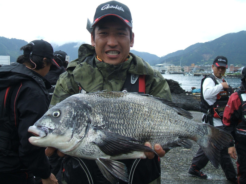 黒鯛日本記録 出た チヌ釣り 読むだけで釣れるブログ